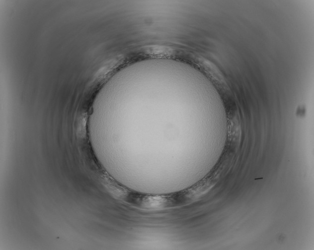 X0000089950717200707271840