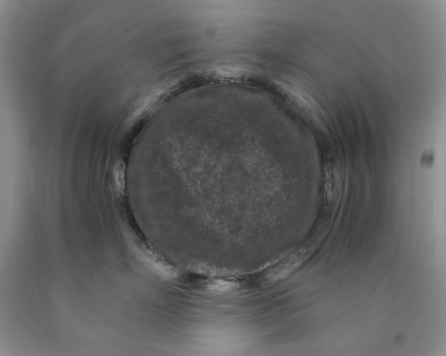 X0000089950718200707271840