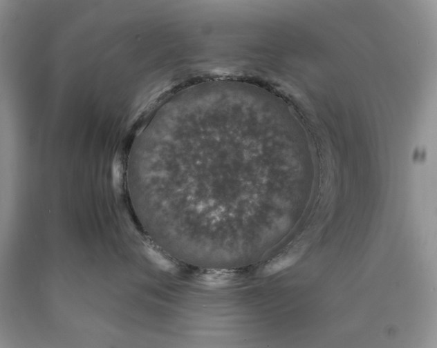 X0000089950720200707271840