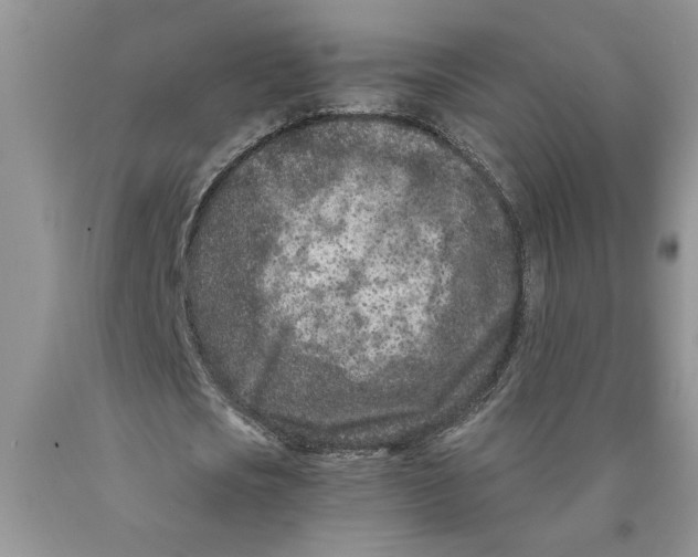 X0000089950721200707271839