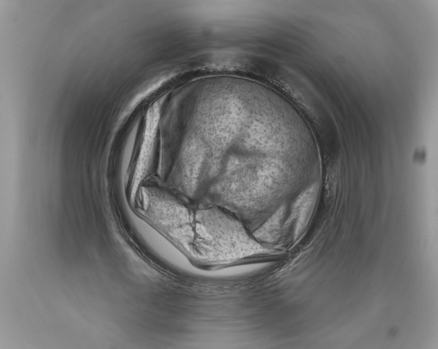 X0000089950722200707271839