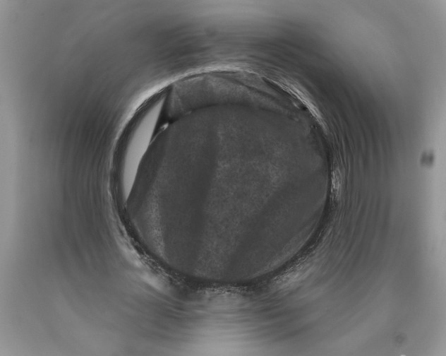 X0000089950724200707271839