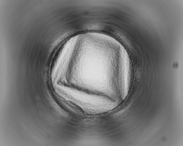 X0000089950725200707271839