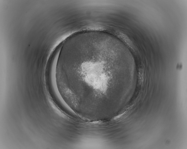 X0000089950726200707271839