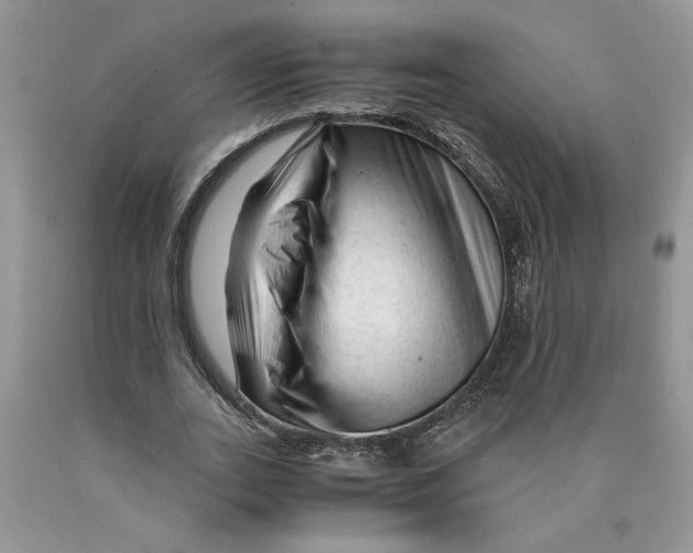 X0000089950727200707271839