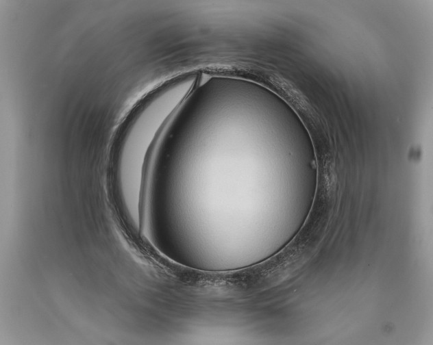 X0000089950728200707271839