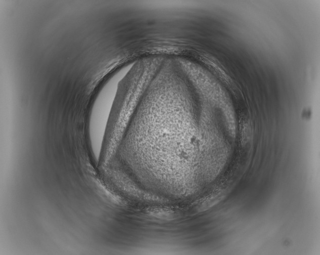 X0000089950729200707271839