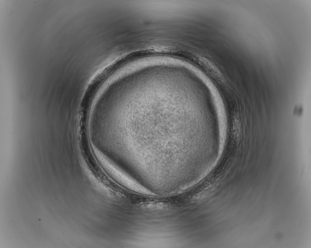 X0000089950730200707271839