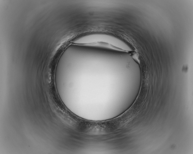 X0000089950731200707271839