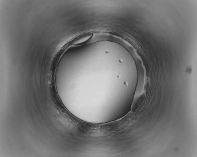 X0000089950732200707271839