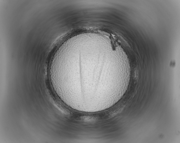 X0000089950733200707271839
