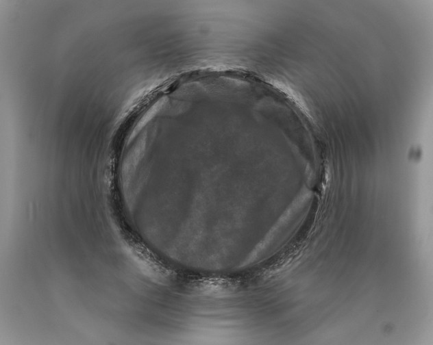 X0000089950736200707271839