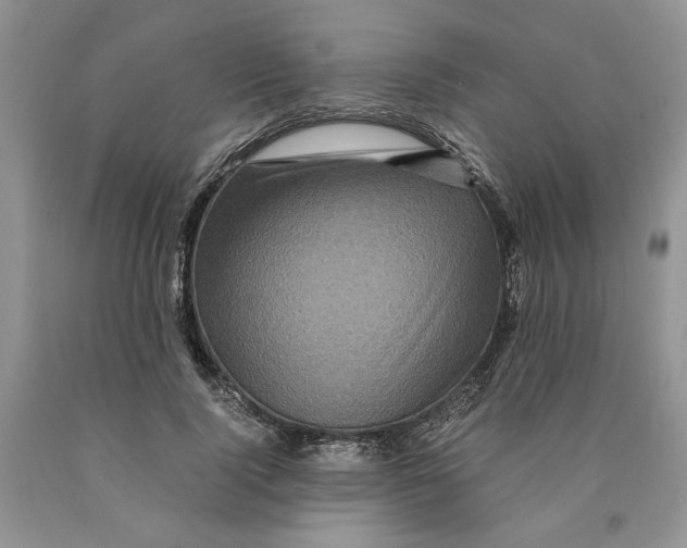 X0000089950740200707271839