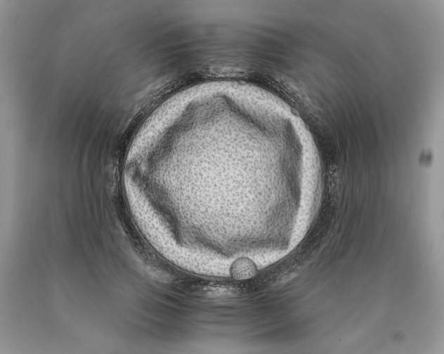 X0000089950741200707271839