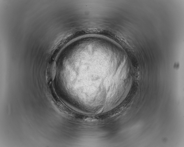 X0000089950742200707271839