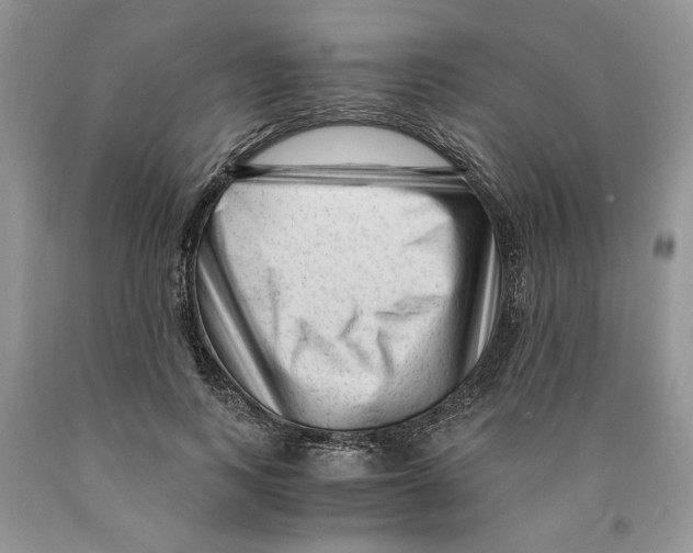 X0000089950743200707271839