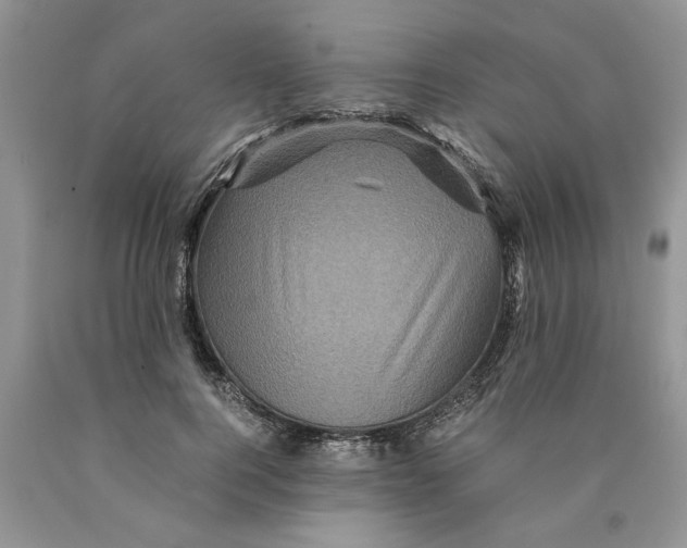 X0000089950744200707271840