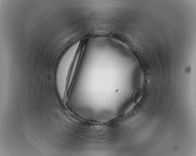 X0000089950745200707271840