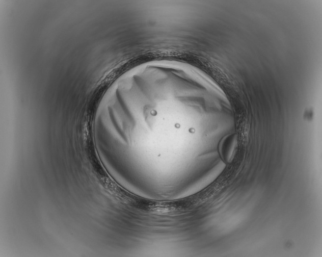 X0000089950746200707271840