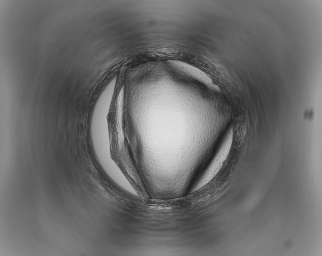 X0000089950749200707271840