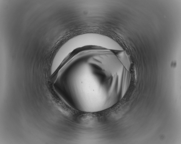 X0000089950750200707271840