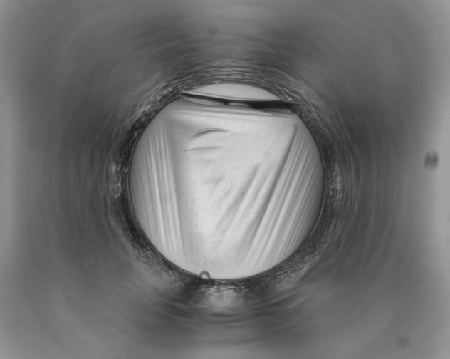 X0000089950751200707271840