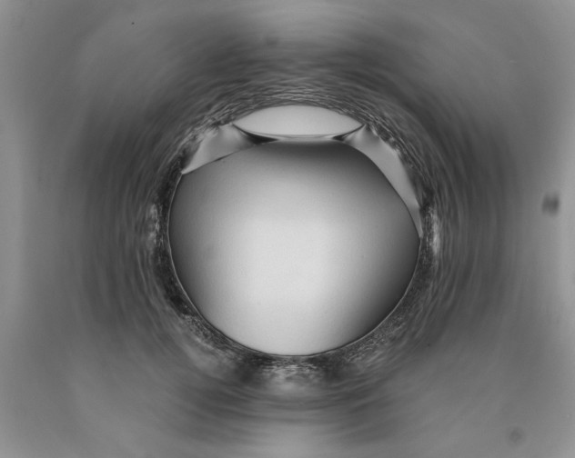 X0000089950752200707271840