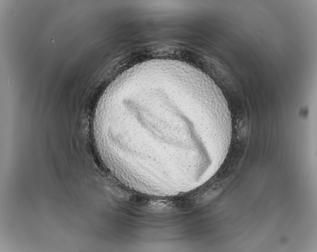 X0000089950753200707271840