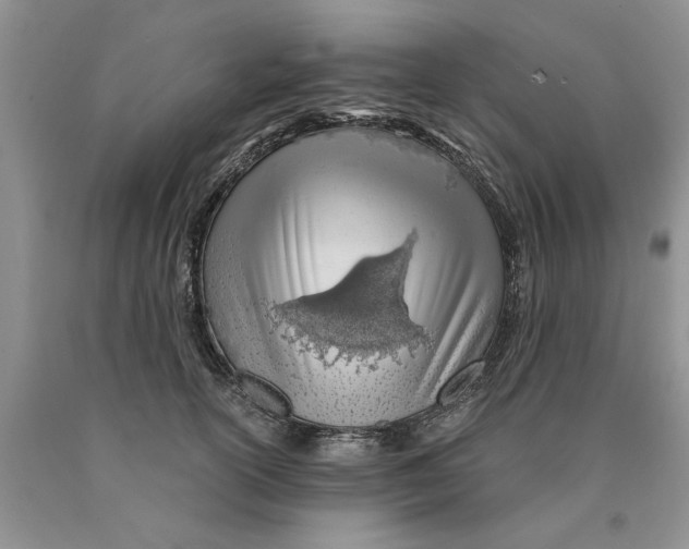 X0000089950754200707271840