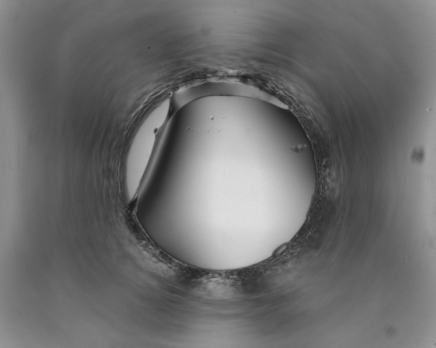 X0000089950756200707271840