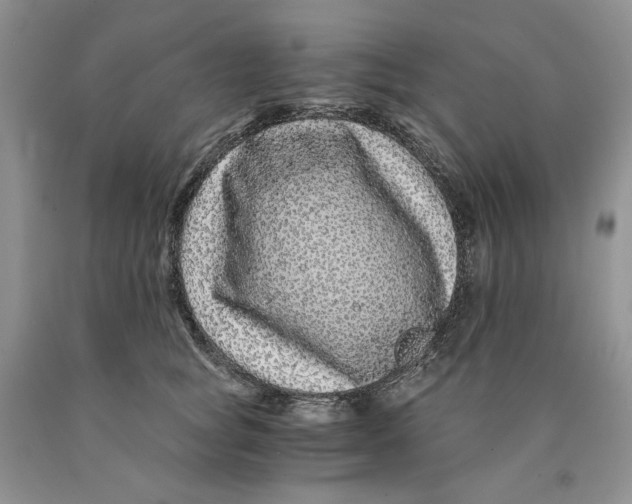 X0000089950757200707271840