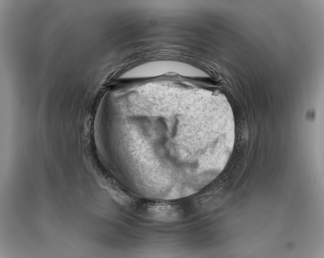 X0000089950759200707271840