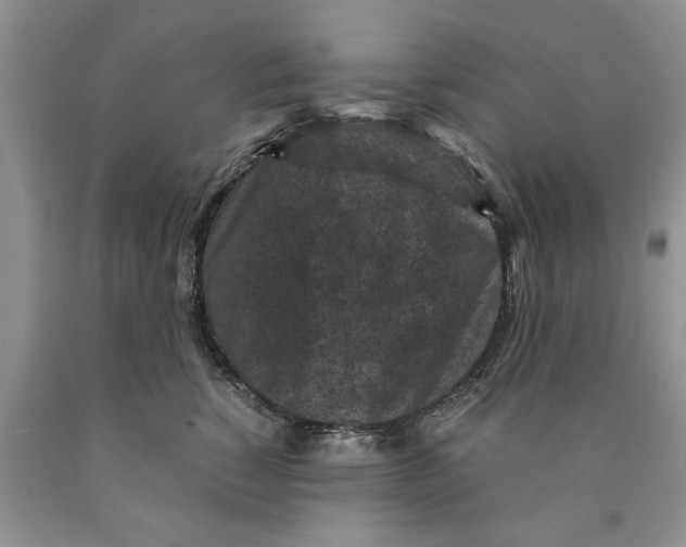 X0000089950760200707271840