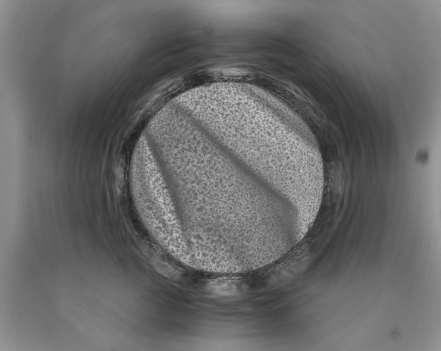 X0000089950761200707271840