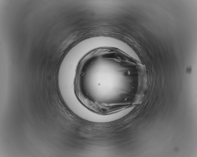 X0000089950762200707271840