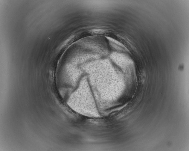 X0000089950763200707271840