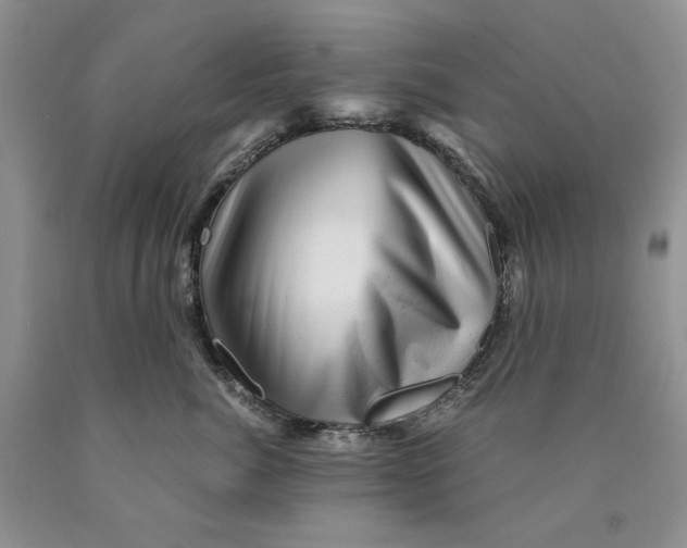 X0000089950764200707271840