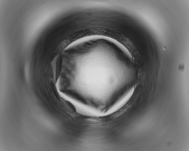 X0000089950765200707271840