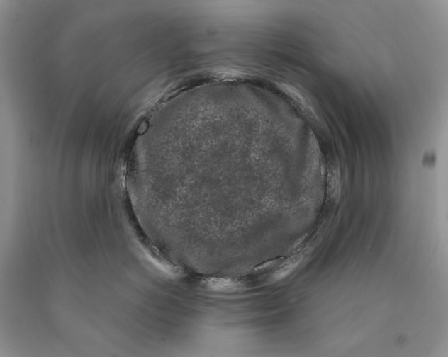 X0000089950766200707271840