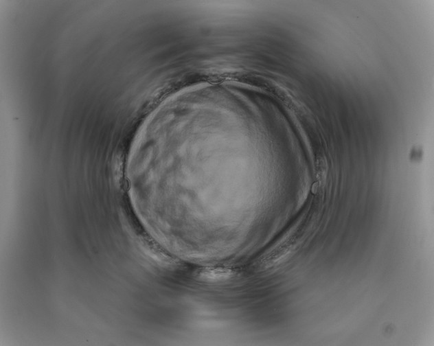 X0000089950767200707271840