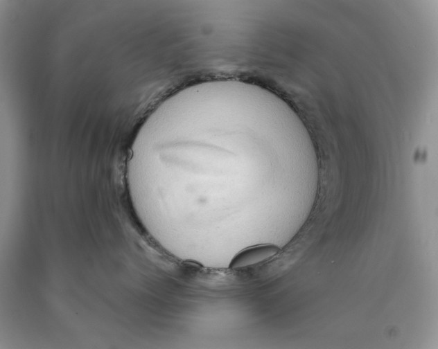 X0000089950768200707271840