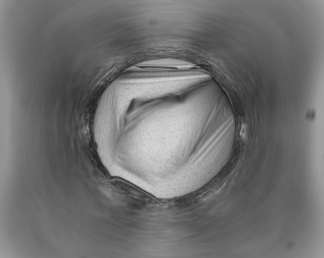 X0000089950771200707271839