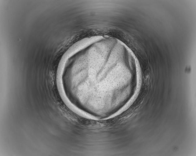 X0000089950772200707271839