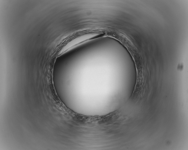 X0000089950773200707271839