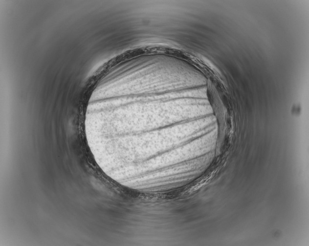 X0000089950775200707271839