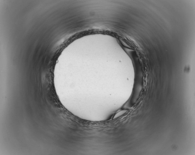 X0000089950776200707271839