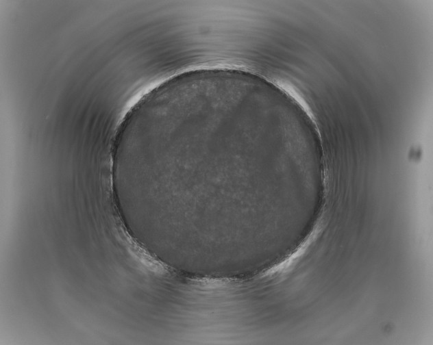 X0000089950781200707271839