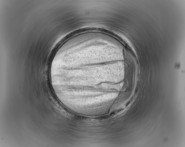 X0000089950783200707271839