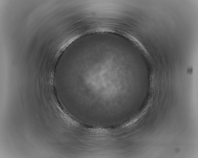 X0000089950785200707271839