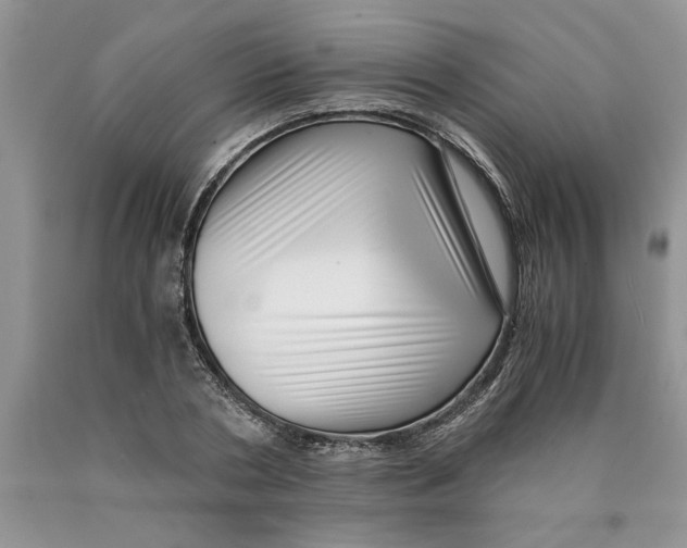 X0000089950786200707271839